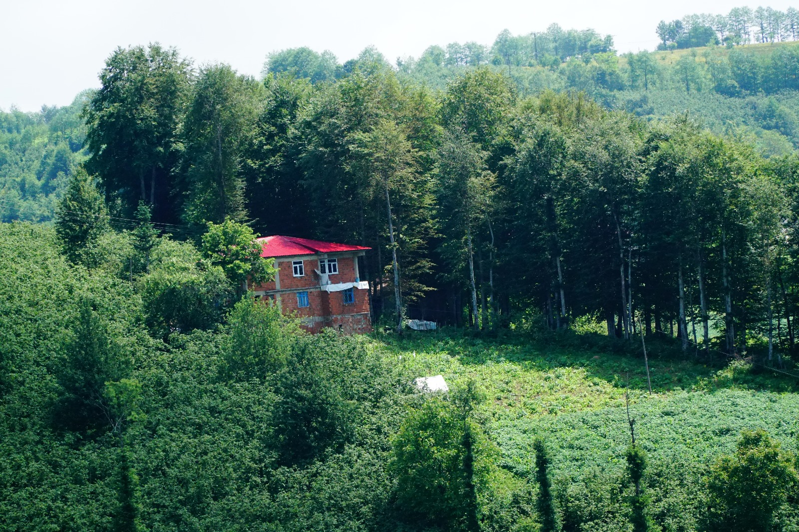 Gürgentepe