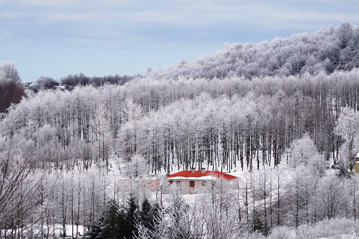 Gürgentepe