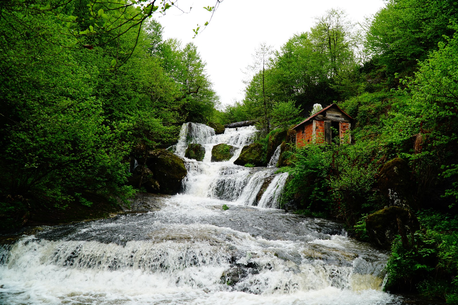 Gürgentepe