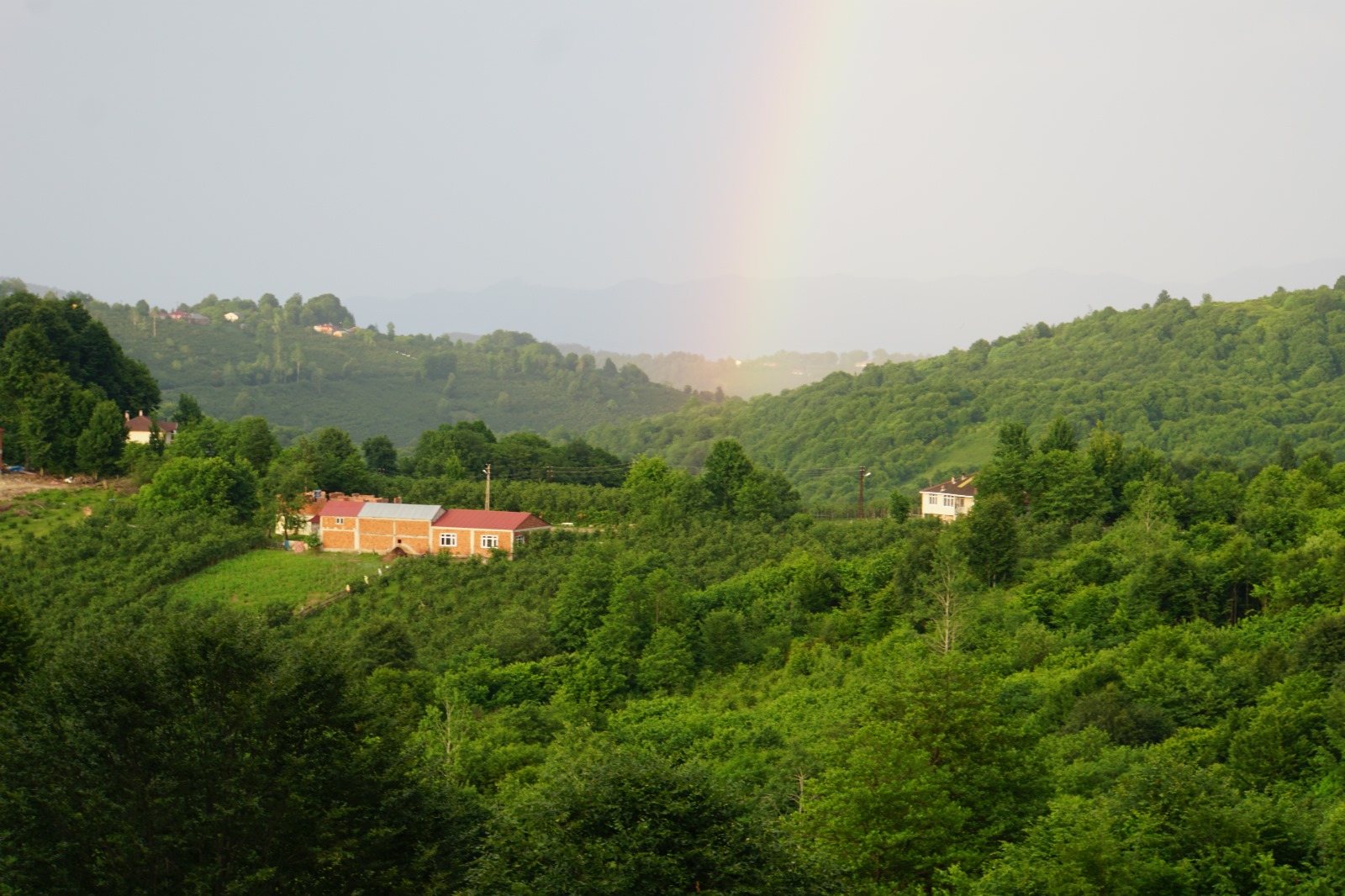 Gürgentepe